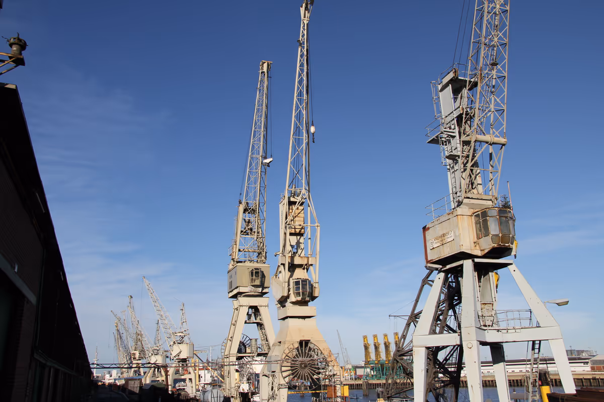 Kräne im Hamburger Hafen