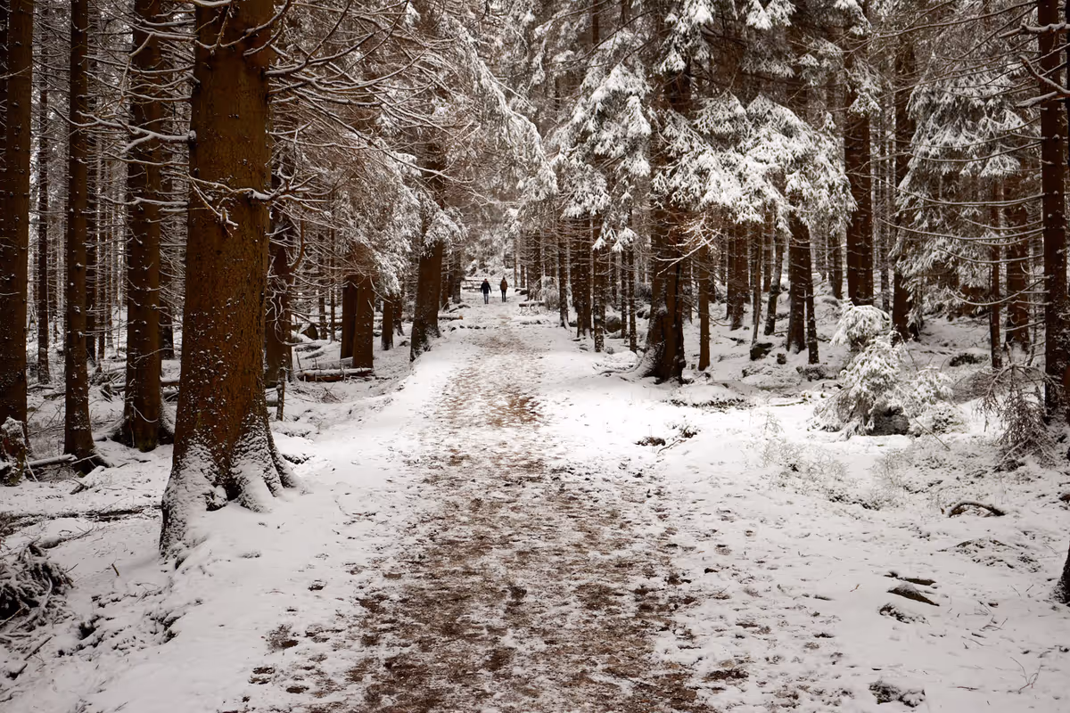 Wanderweg zum Brocken